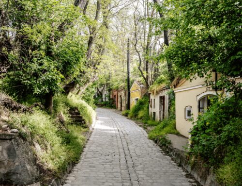 Der Wienerwald – Wiens grüne Oase direkt vor der Haustüre