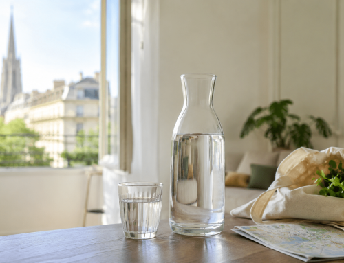 Travelling Sustainably in Vienna – Small Choices, Big Impact